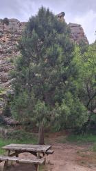 Image thumbnail 3