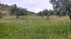 Miniatura imagen 1