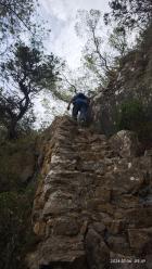 Image thumbnail 6