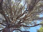 Image thumbnail 12