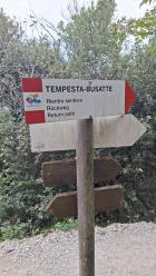 Miniatura imagen 3