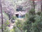 Miniatura imagen 15