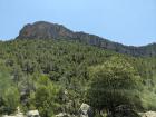 Image thumbnail 22