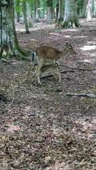 Miniatura Dell'immagine 1