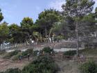 Image thumbnail 2