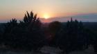 Image thumbnail 1