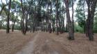 Image thumbnail 2