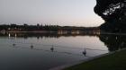 Image thumbnail 3