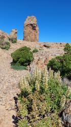 Image thumbnail 24