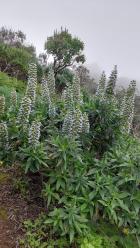Image thumbnail 28