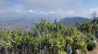 Image thumbnail 18