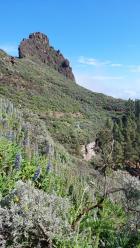 Image thumbnail 11