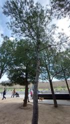 Image thumbnail 18