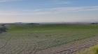 Image thumbnail 0