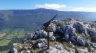 Miniatura imagen 30