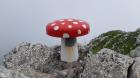 Miniatura imagen 2