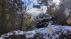 Image thumbnail 0
