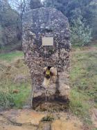 Image thumbnail 4
