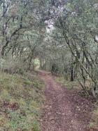 Image thumbnail 13