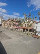 Miniatura imagen 3